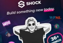 Shock Theme Free Download (v1.0.7) Shock Agency and Portfolio WordPress Theme